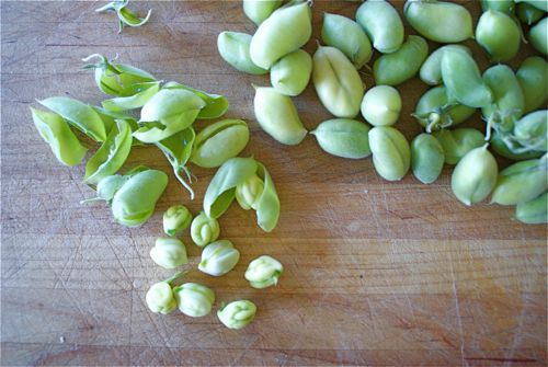 Chickpeas Are an EARTH-FRIENDLY Snack!