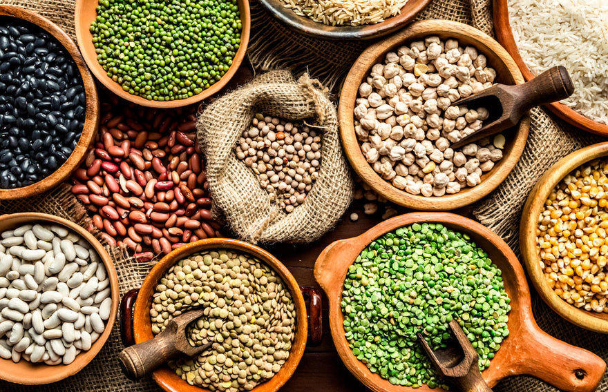 3 Reasons Eating Plant-Based Protein Will Boost Your Energy Levels